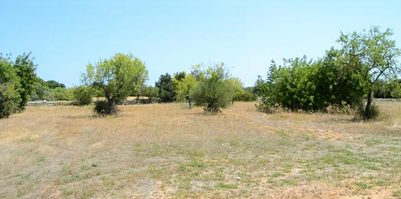 Holiday home 137 Finca Son Bernat Etv9442 By Mallorca Charme Llubi Spain
